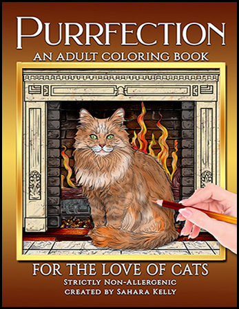 A historically themed coloring book cover by Sahara Kelly